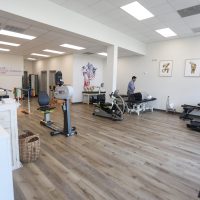Physical Therapy & Spine 2024